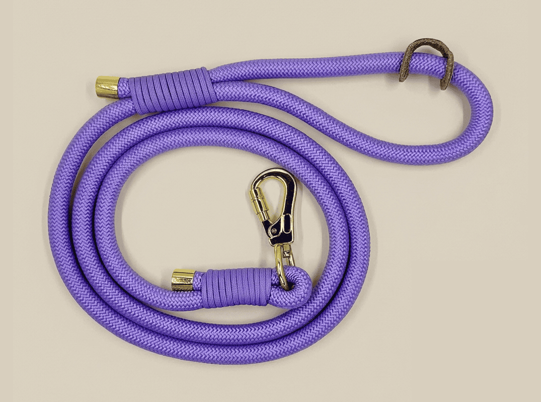 Correas para perros